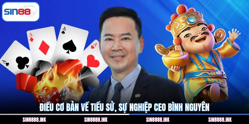 Điều cơ bản về tiểu sử, sự nghiệp CEO Bình Nguyên